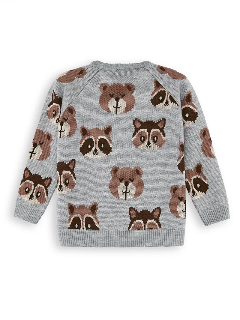Denokids Bear&Raccoon Boy Knit Jumper